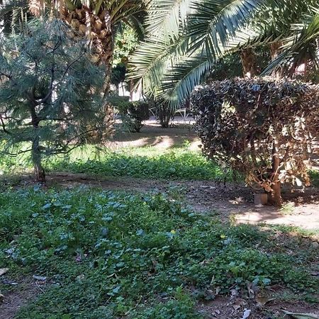 Del Parque Flats Urban Life Apartment Malaga Luaran gambar